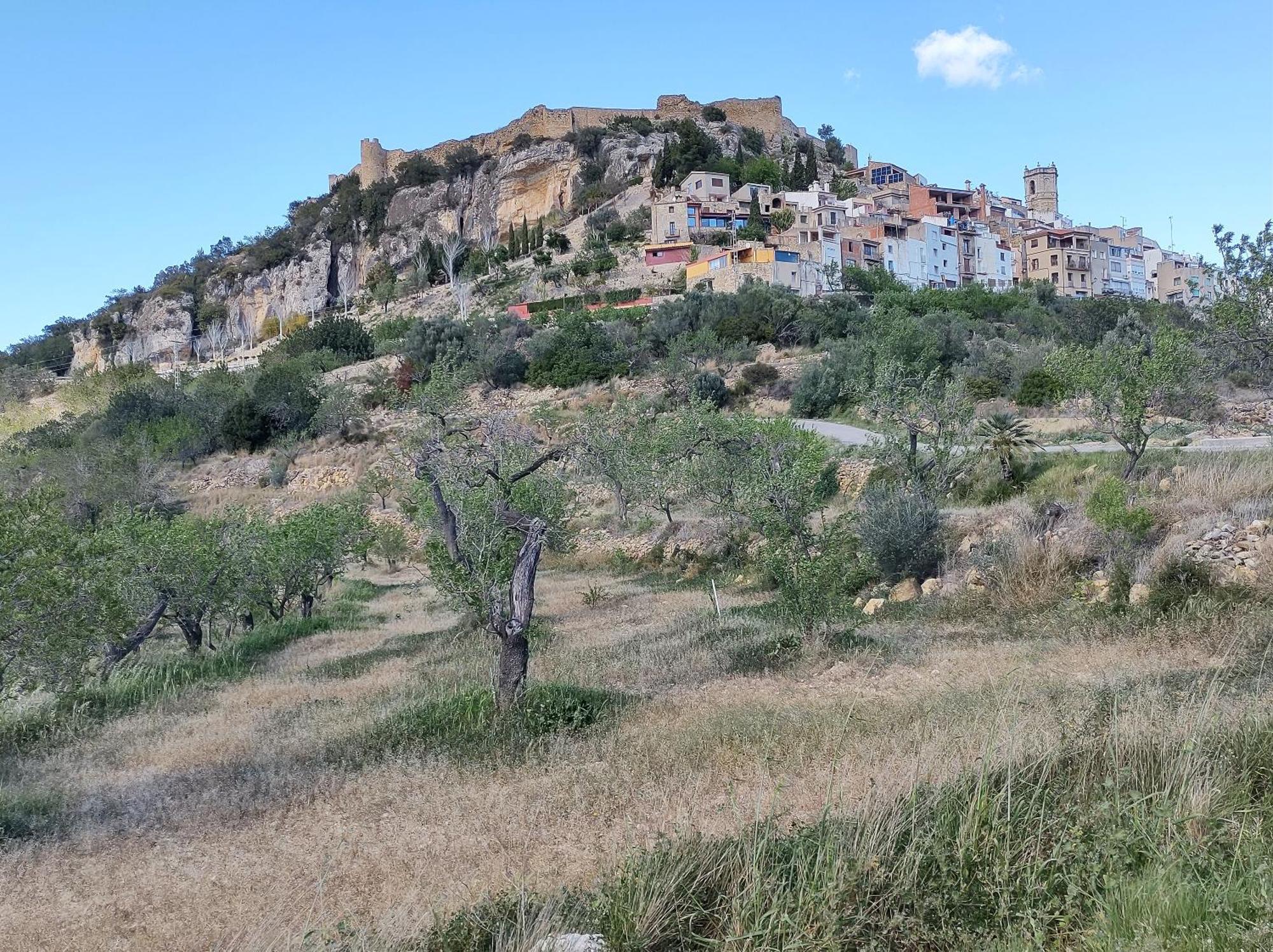 Tranquil And Spacious Townhouse In Historical And Picturesque Cervera Del Maestre 외부 사진